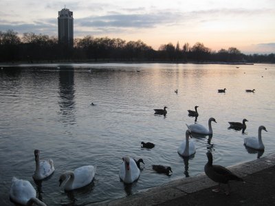 Sunset in Hyde Park