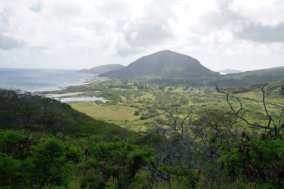 Looking at Sandy Beach