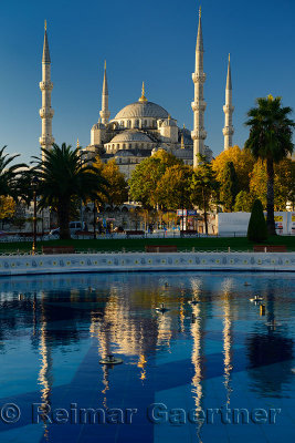 Blue Mosque in early morning sun with reflection in pool Istanbul Turkey