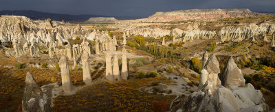 Panorama of phallic Fairy Chimneys in Love Valley Goreme National Park Turkey with evening sun