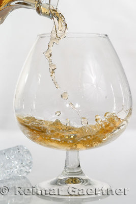 315 Brandy 3.jpg