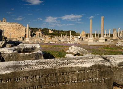 Carved stone lintel in the Agora of Perge Turkey ruins with columns and Greek Gate and lavender
