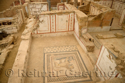 Frescoes and lion mosaic tile floor of a Slope House ruin on Curetes street of ancient Ephesus Turkey