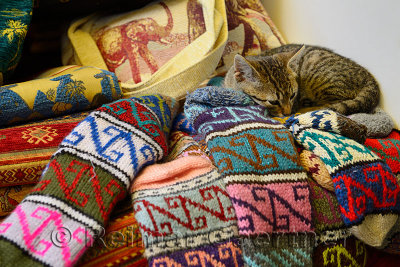 Feral kitten sleeping on hand crafted knitted socks in outdoor shop in Sirince Turkey