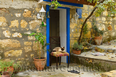 Siamese cat sitting on chair in doorway of stone house in hillside village of Yesilyurt Turkey