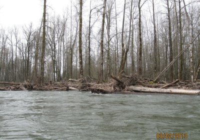 2013-03-02 10.52.31.jpg