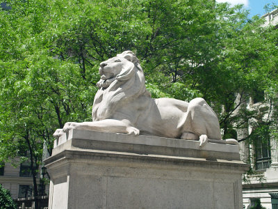DSC02460.JPG