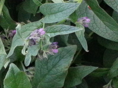 20121119_171700.jpg