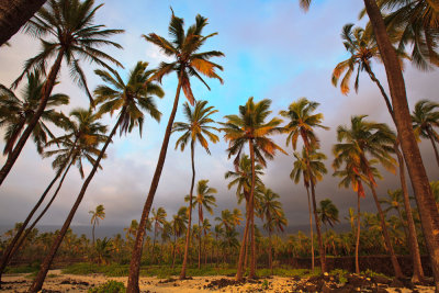 Pu'uhonua o Honaunau