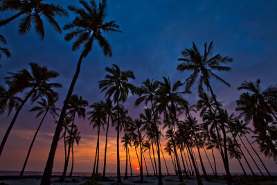 Pu'uhonua o Honaunau
