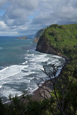 Pololu 