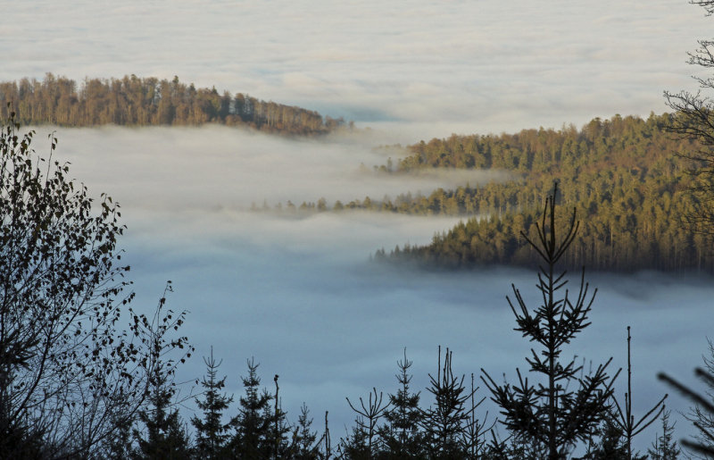 une mer de nuages