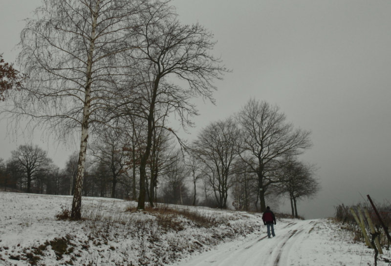 a grey winter day in Alsace.