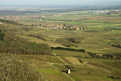 la plaine d'Alsace
