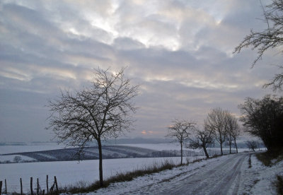 la plaine d'Alsace en hiver