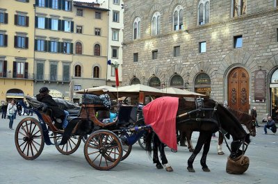 Piazza della Signoria - 9582