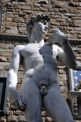 copie de la statue de David de Michelange sur la piazza della Signoria - 9906