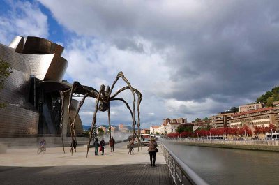 Bilbao Guggenheim Museum along the Nervion river - 8049