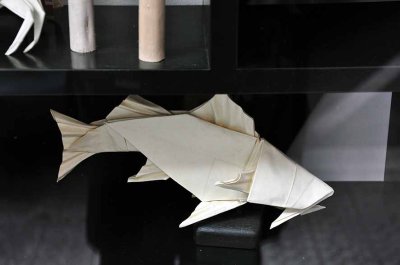 origami in a shopwindow - 8660