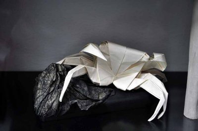 origami in a shopwindow - 8661