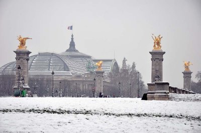 Snow in Paris, Grand Palais et Pont Alexandre III - 1099