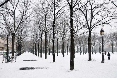 Snow in Paris, Esplanade des Invalides - 1113