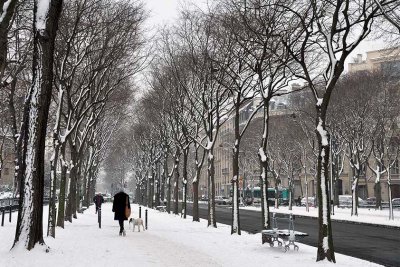 Snow in Paris, avenue La Tour Maubourg - 1160