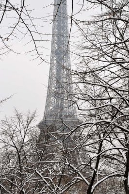 Snow in Paris, Champ de Mars, tour Eiffel - 1211