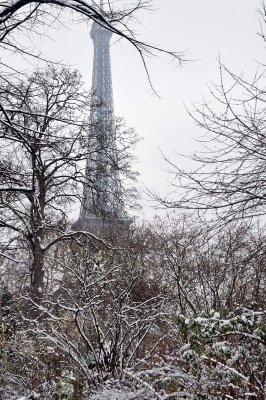 Snow in Paris, Champ de Mars, tour Eiffel - 1217