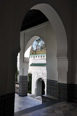 Grande Mosque de Paris - 2864