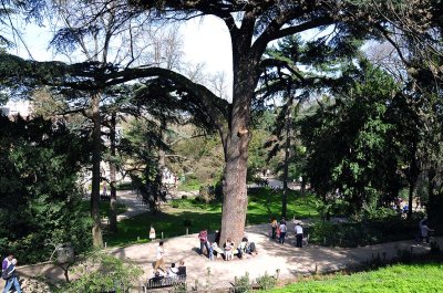 Jardin des Plantes - 2971