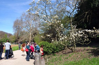 Jardin des Plantes - 2986