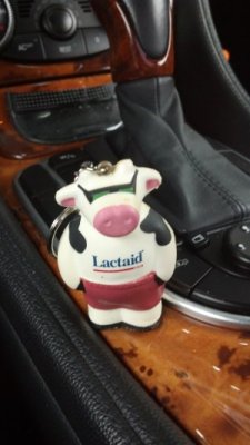 lucky cow