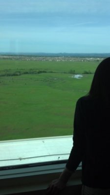 excellent view of cows and pasture