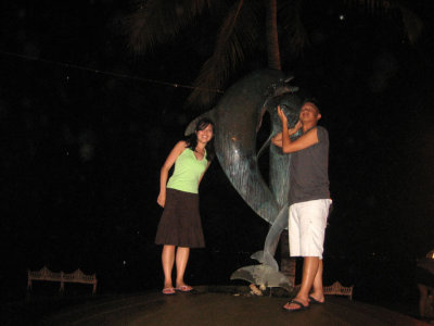 dolphin amor