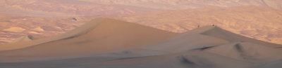 dvm19.jpg