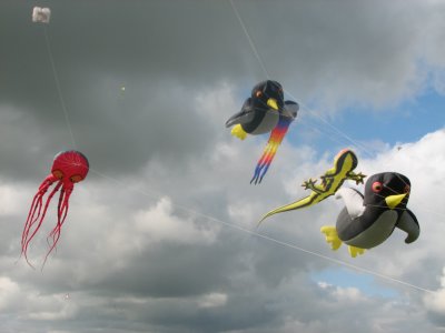 IMG_0828.JPG
