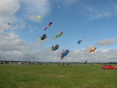 IMG_0830.JPG
