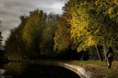 Falls.Canal of the Swans in LEICESTER