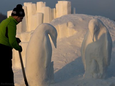 The snow scultor and the Penguins