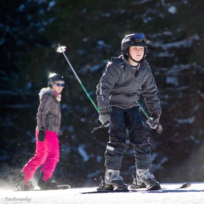 The Fun of the Alpine  Ski 