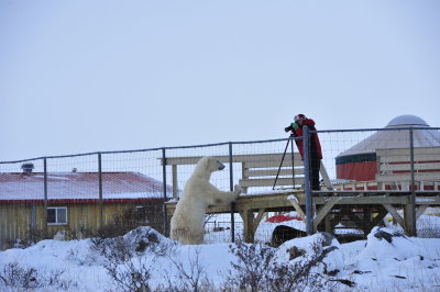 Kristina and The Bear