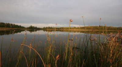 IMG_2992.JPG