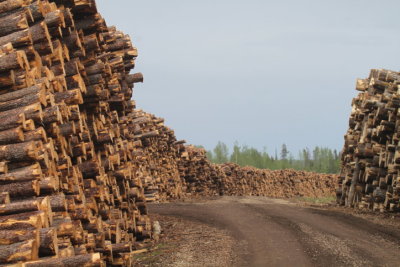 Logging industry Grand Cache AB (2).JPG