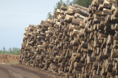 Logging industry Grand Cache AB (4).JPG