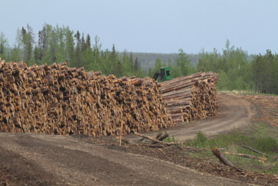 Logging industry Grand Cache AB (8).JPG