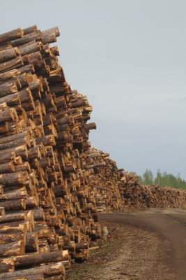 Logging industry Grand Cache AB.JPG