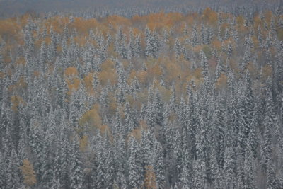 Picture 005.JPG
