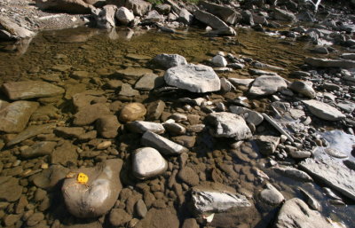 Wolf Creek trib to Cutbank River.JPG