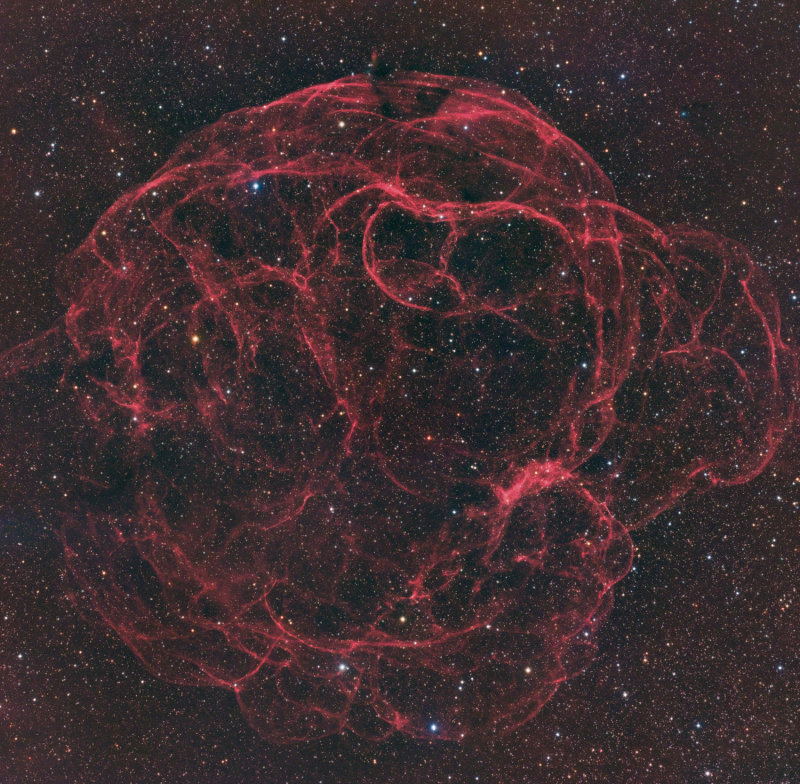 Simeis147